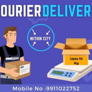 send courier within city upto 10 kg